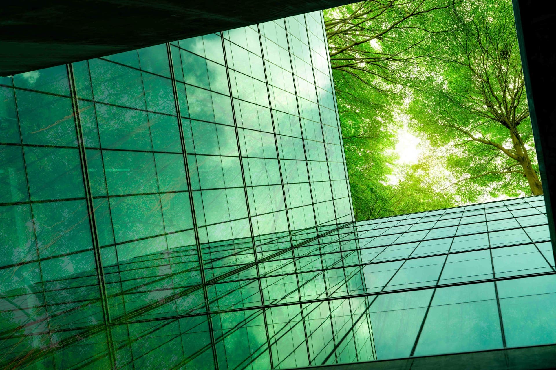 Looking up between green glass office facades toward a sunlit tree canopy